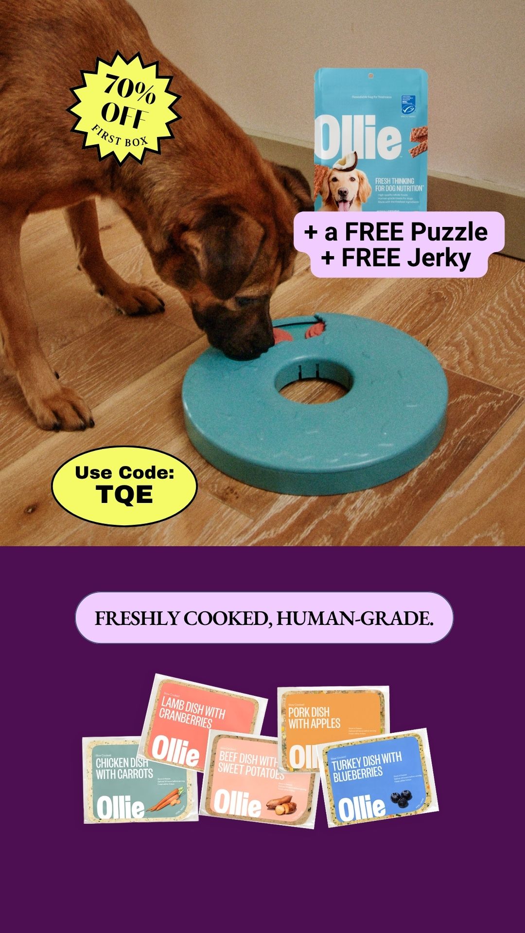 Pets Facebook ad example 4: 100% Human-Grade Ingredients for Your Pup