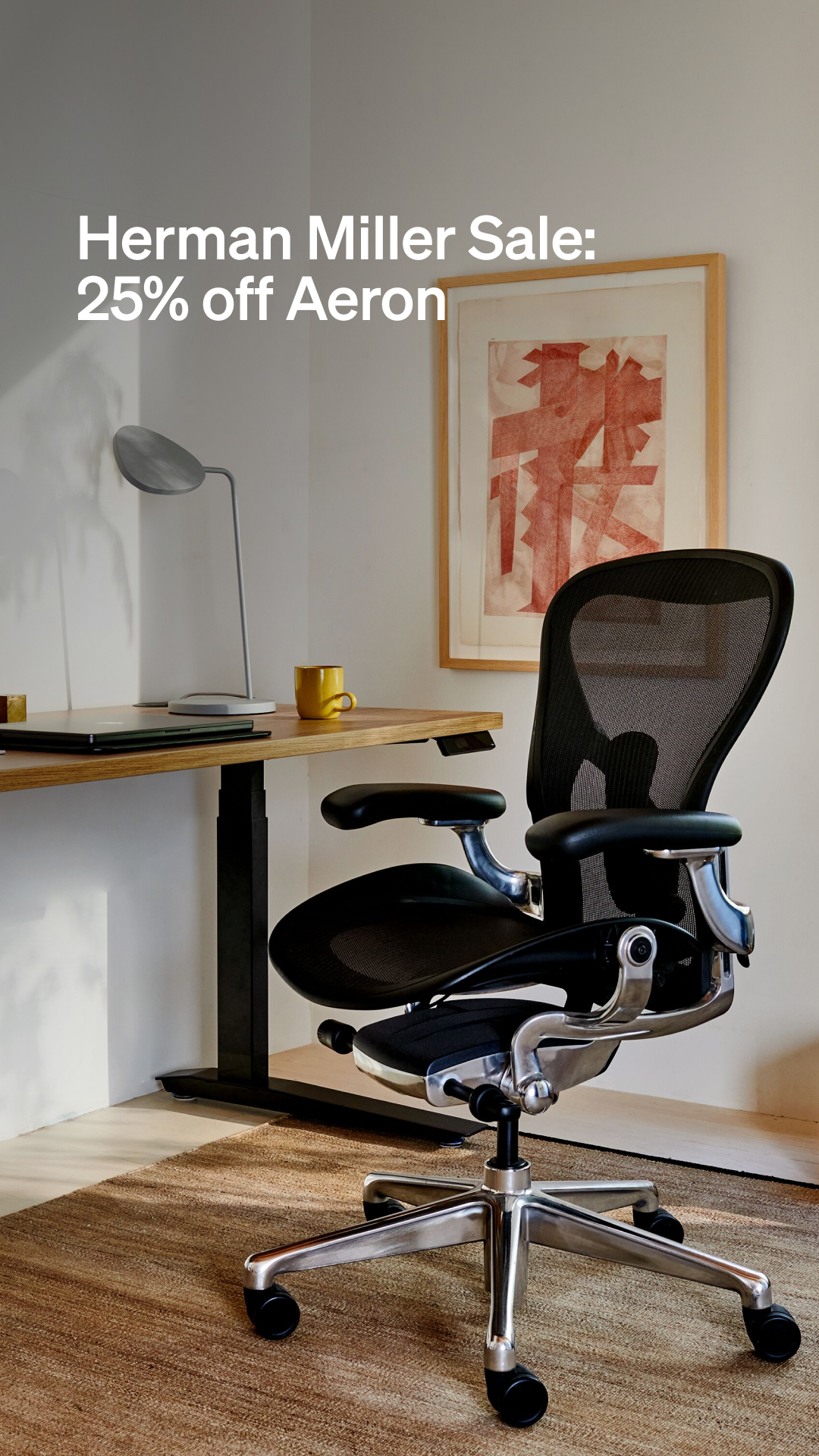 Office Facebook ad example 25: Save 25% on Herman Miller