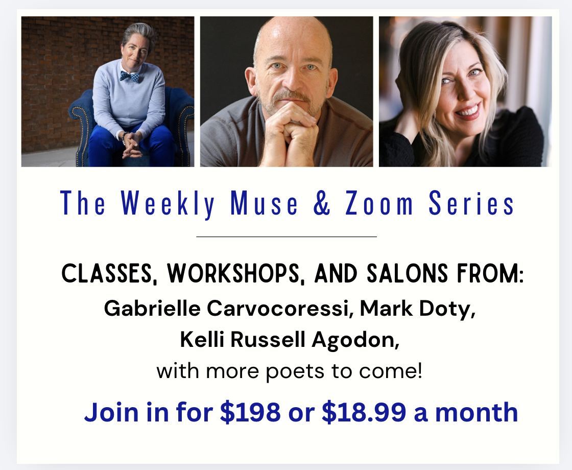 Subscriptions Facebook ad example 27: Write more poems with us!