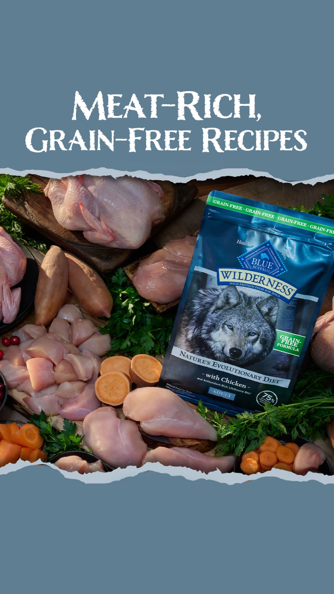 Pets Facebook ad example 45: Feed What Your Dog Craves