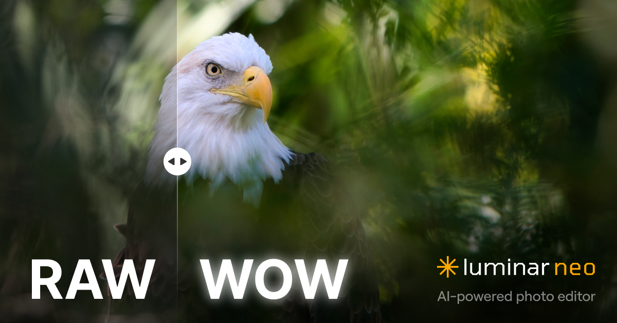 Photography Facebook ad example 4: Effortlessly power up your photo editing