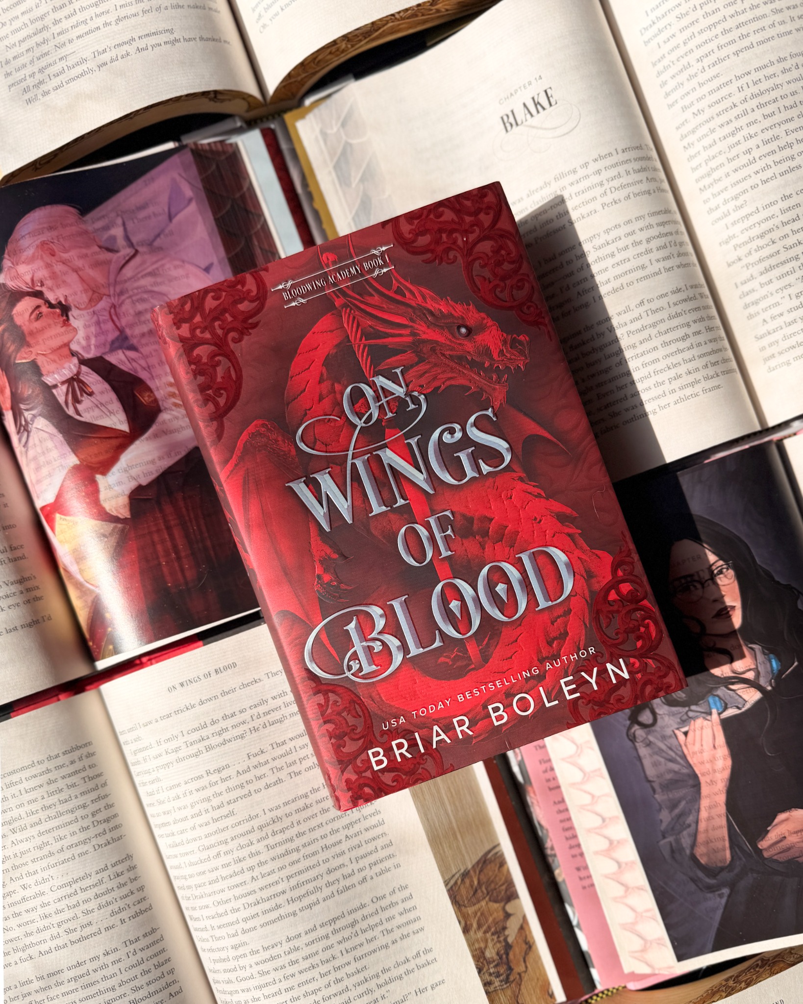 Books Facebook ad example 23: THE WINGS THAT BIND