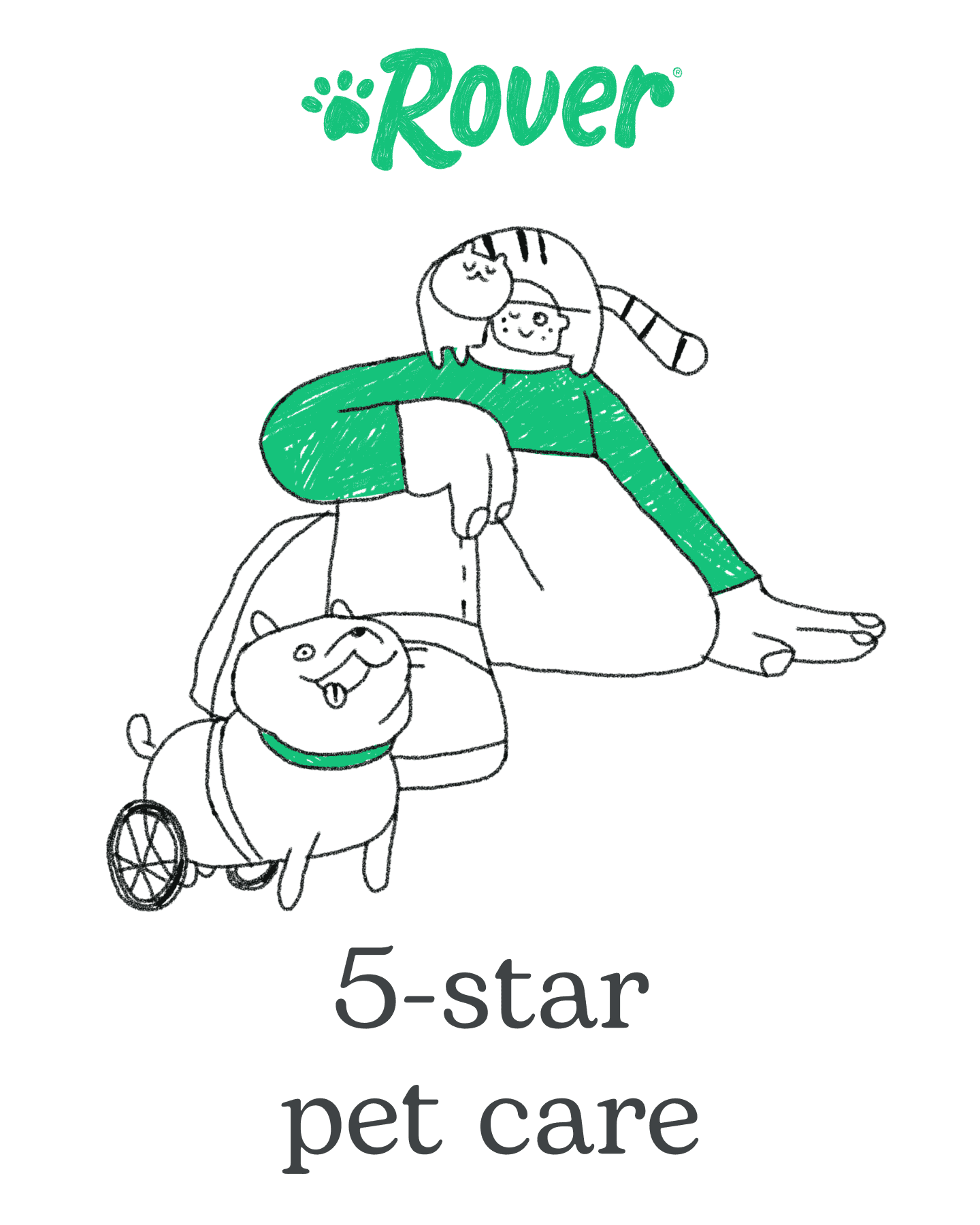 Pets Facebook ad example 22: Trusted 5-star pet care