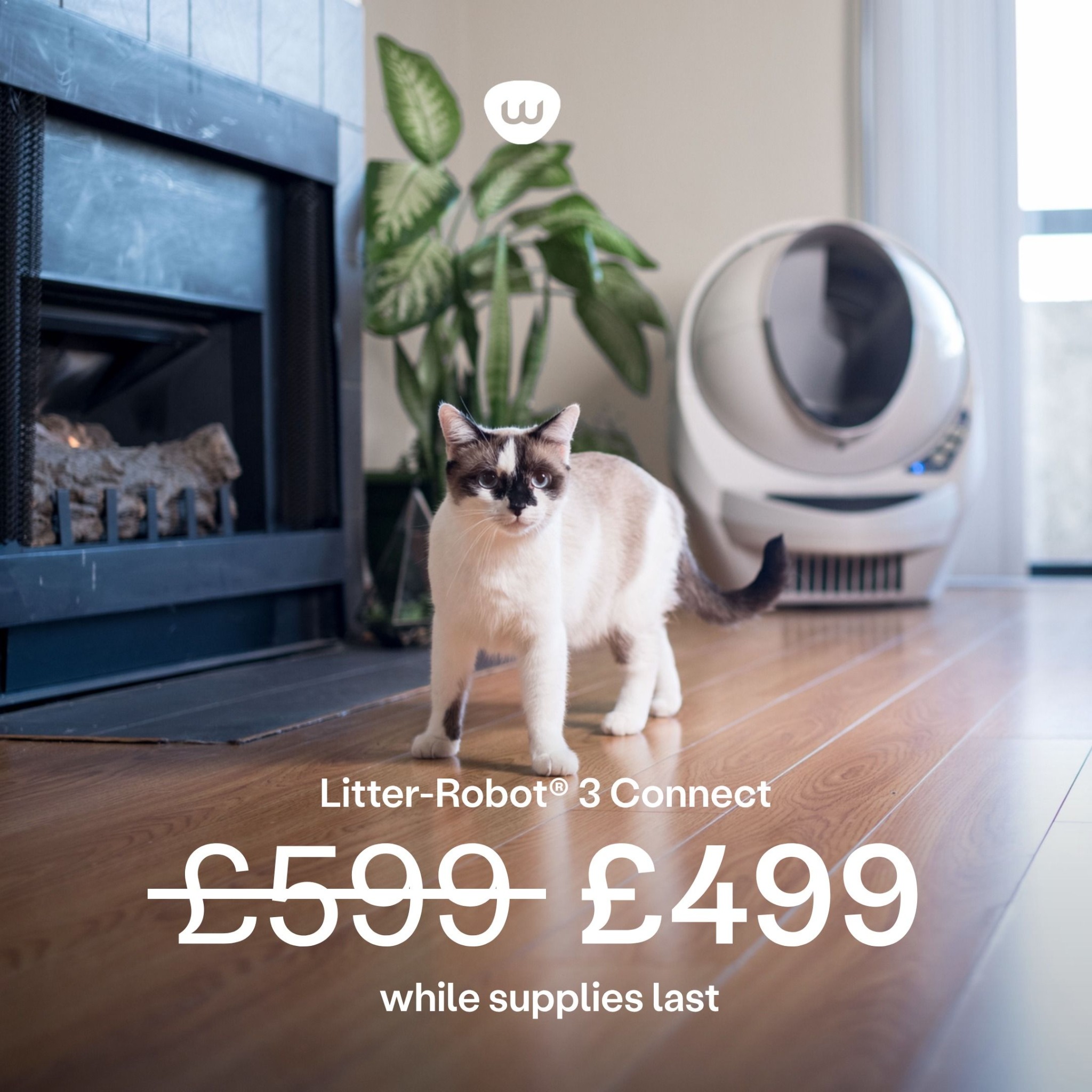 Pets Facebook ad example 18: Litter-Robot 3 Connect Now £499