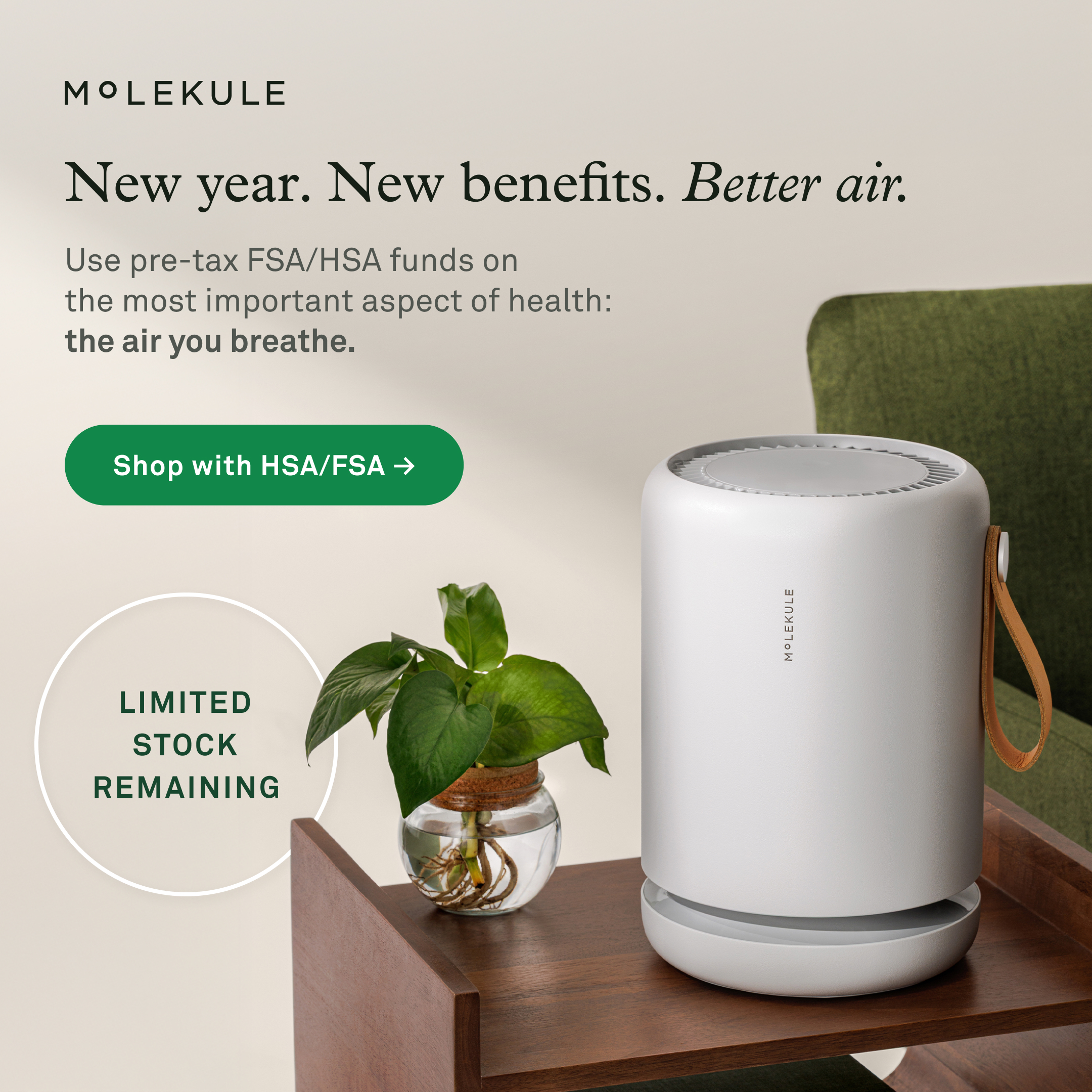 Wellness Facebook ad example 39: Breathe cleaner, safer air