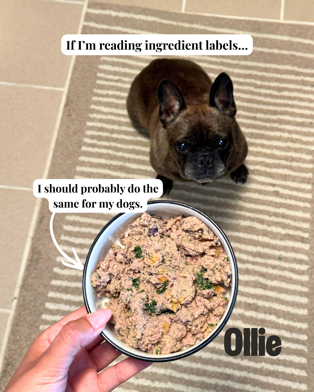 Cbd Facebook ad example 3: 100% Human-Grade Ingredients for Your Pup