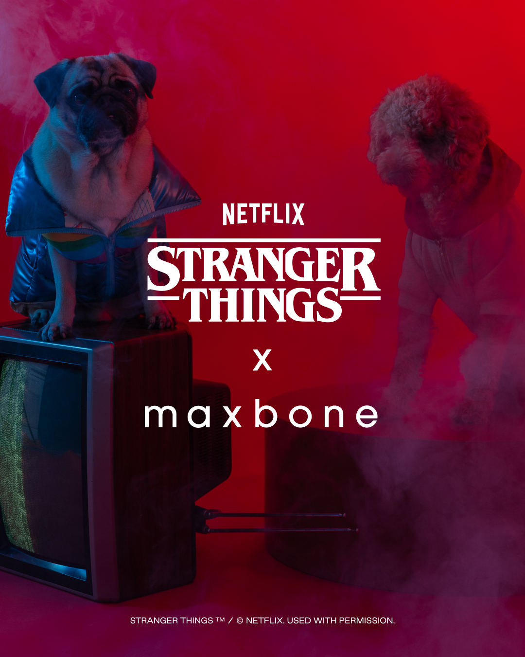 Pets Facebook ad example 30: Stranger Things x Maxbone