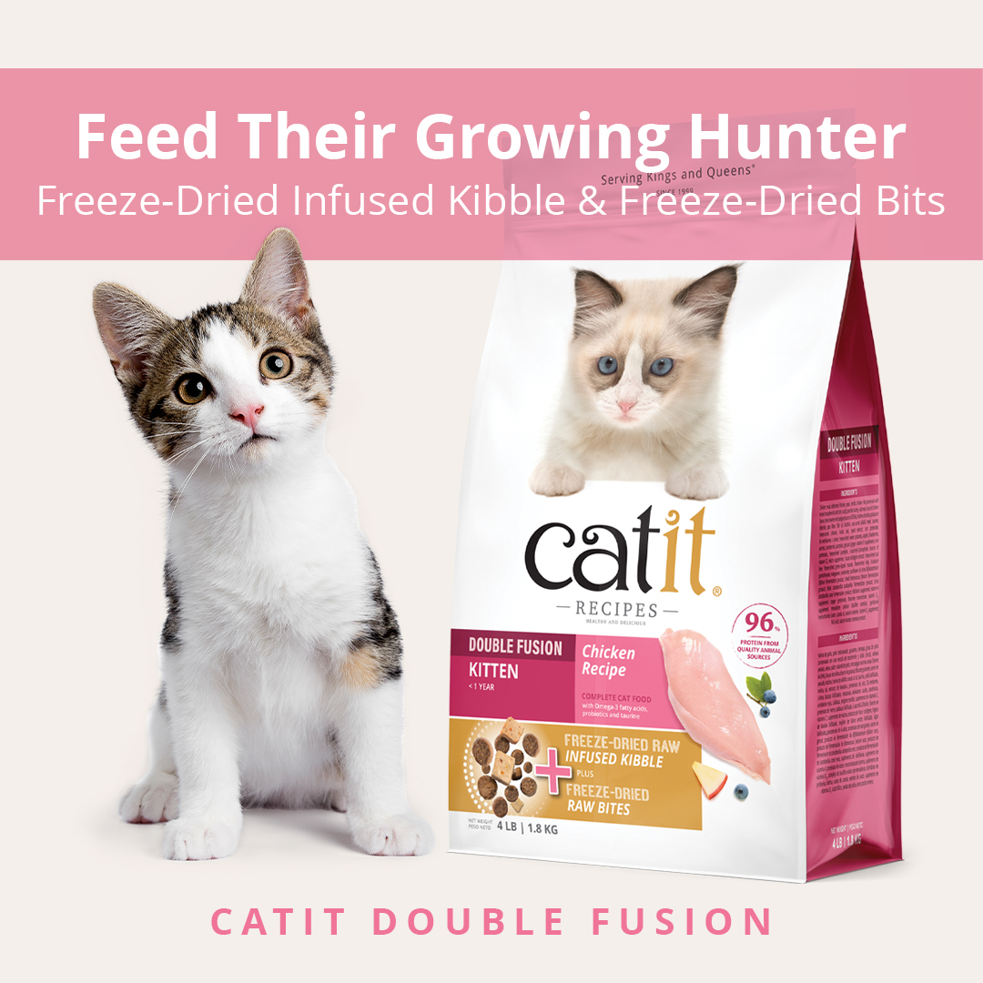 Pets Facebook ad example 19: Feed Their Growing Hunter
