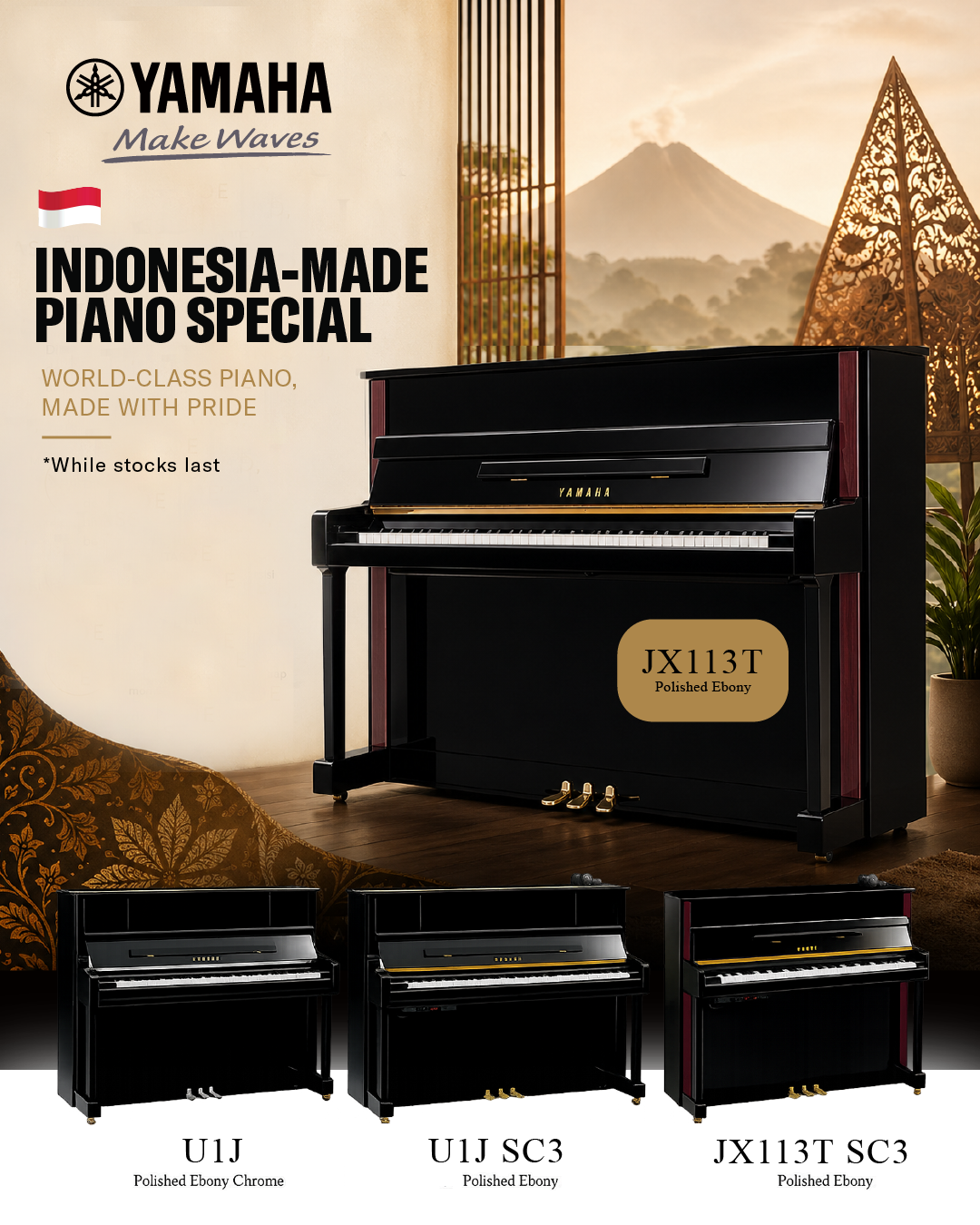 Entertainment Facebook ad example 6: Piano Specials