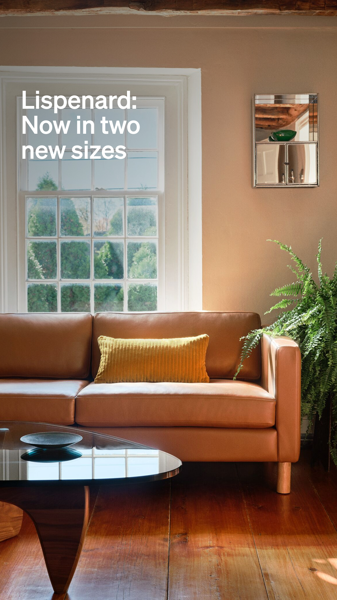 Office Facebook ad example 22: New options for Lispenard