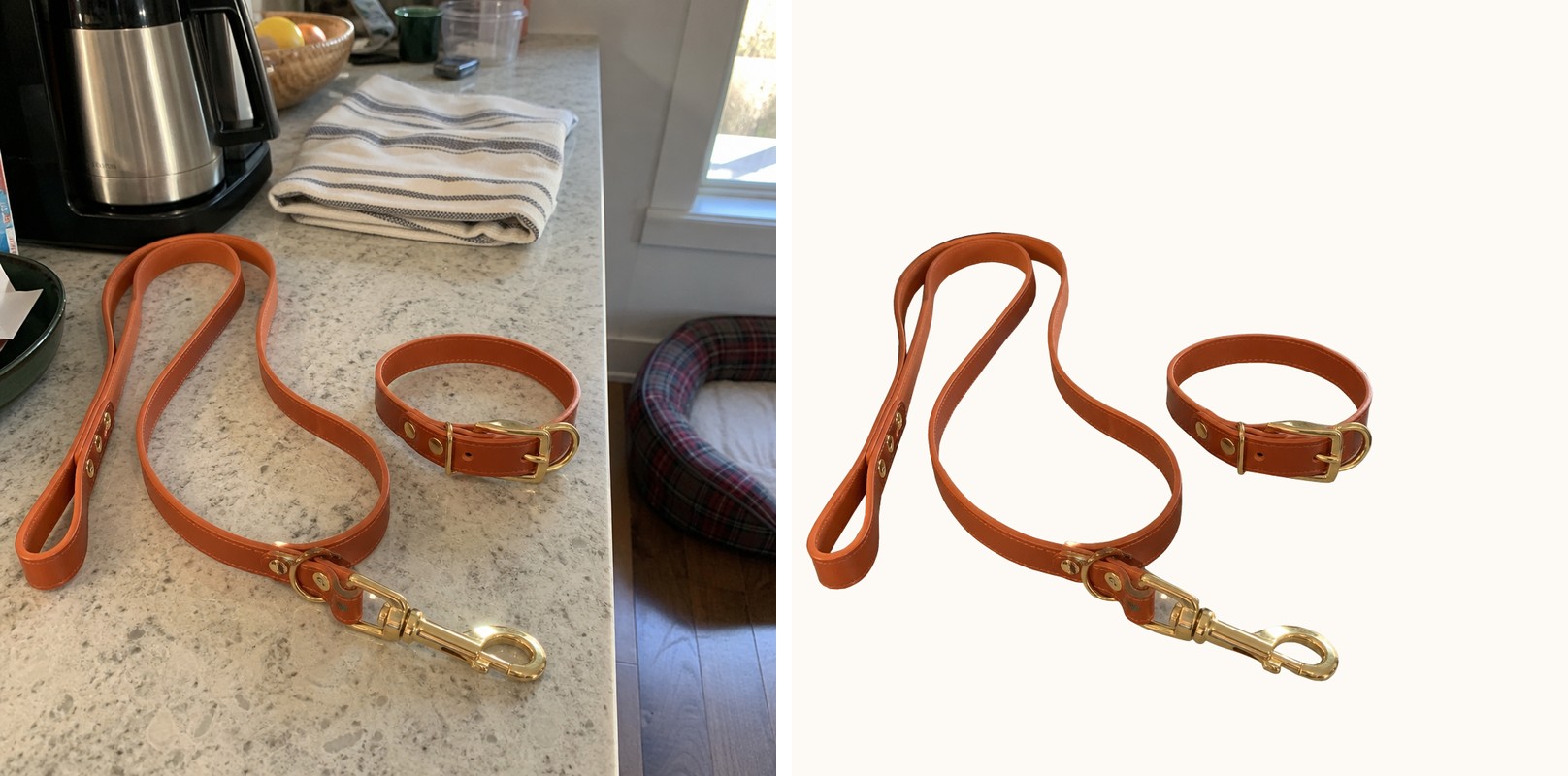 Before and after: a pet leash and collar set on a cluttered kitchen counter next to the same product on a clean neutral studio backdrop