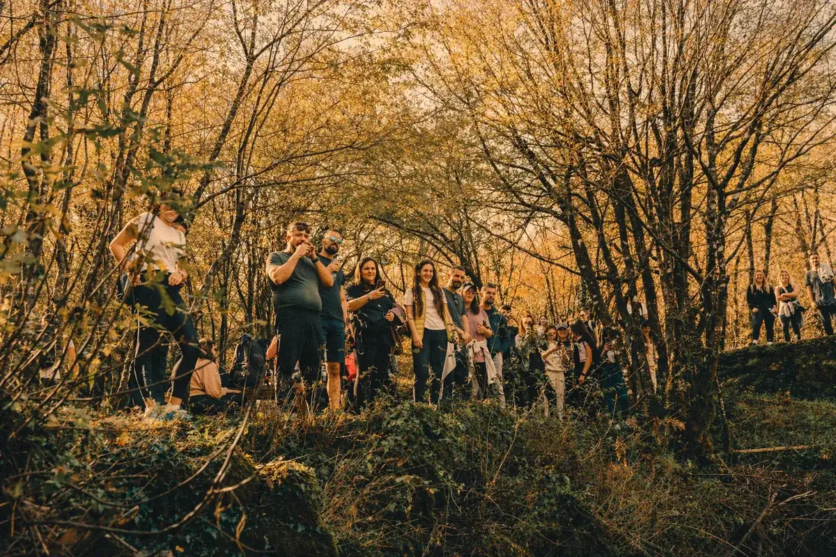 Coinis team hiking in a forest together