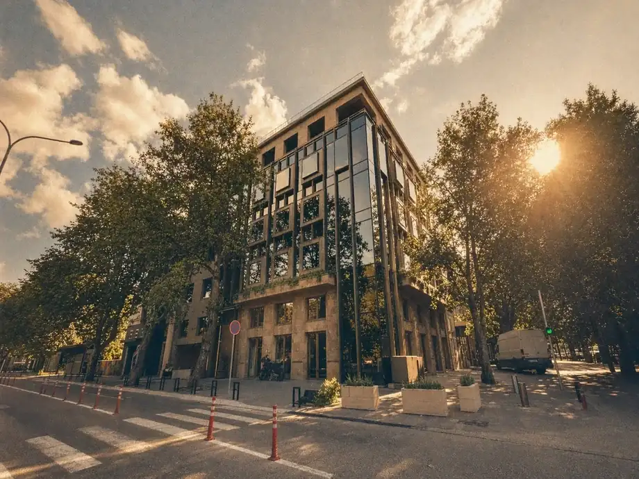 Coinis HQ building exterior at golden hour with sun flare through roadside trees