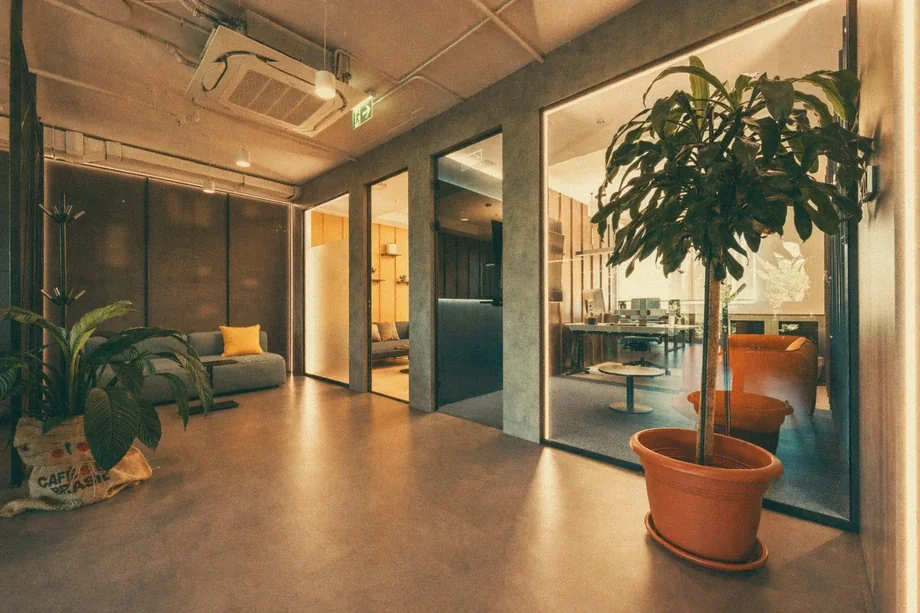 Corridor with grey sofa, potted plants, and glass-walled office at Coinis HQ