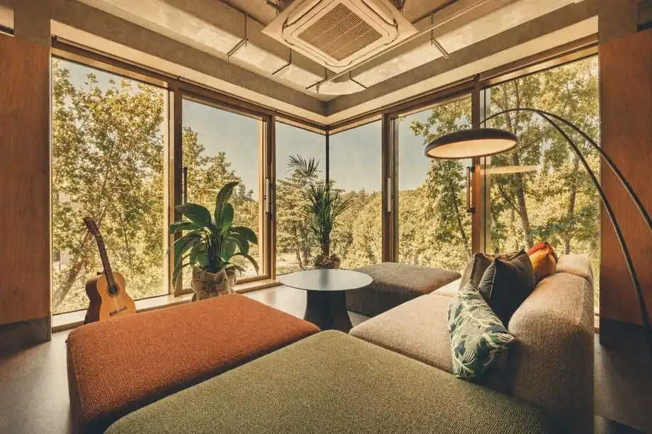 Reading nook with corner windows, beige and green sofa, guitar, and potted plants at Coinis HQ
