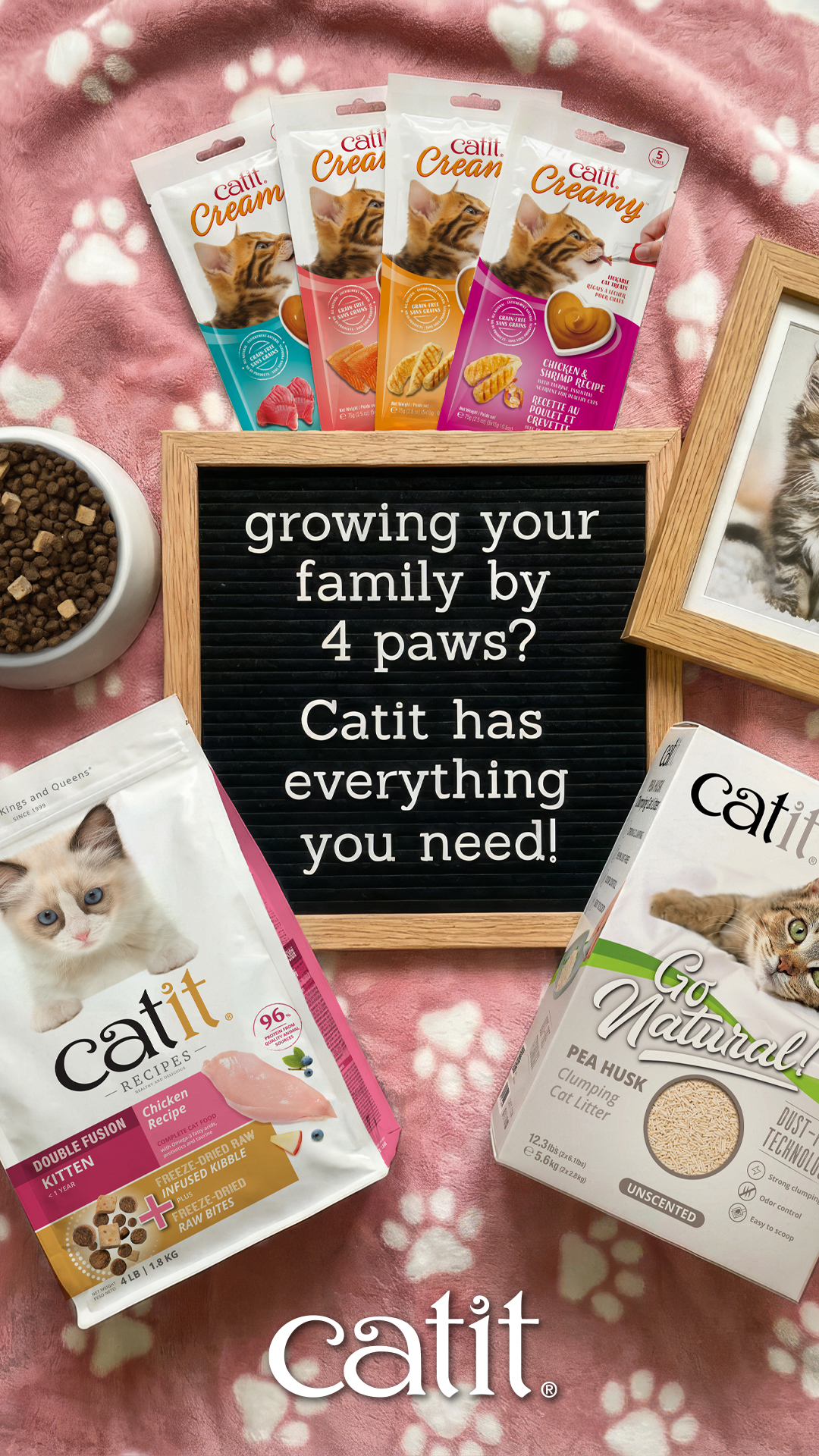 Pets Facebook ad example 24: Everything You Need from Whiskers to Tail