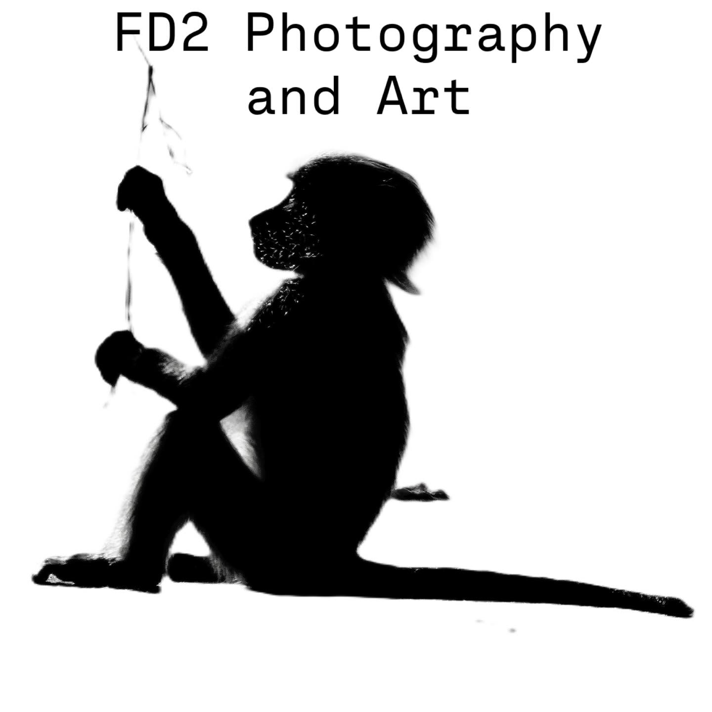 Art & Design Facebook ad example 18: Shop Photography Art | FD2 Photography and Art