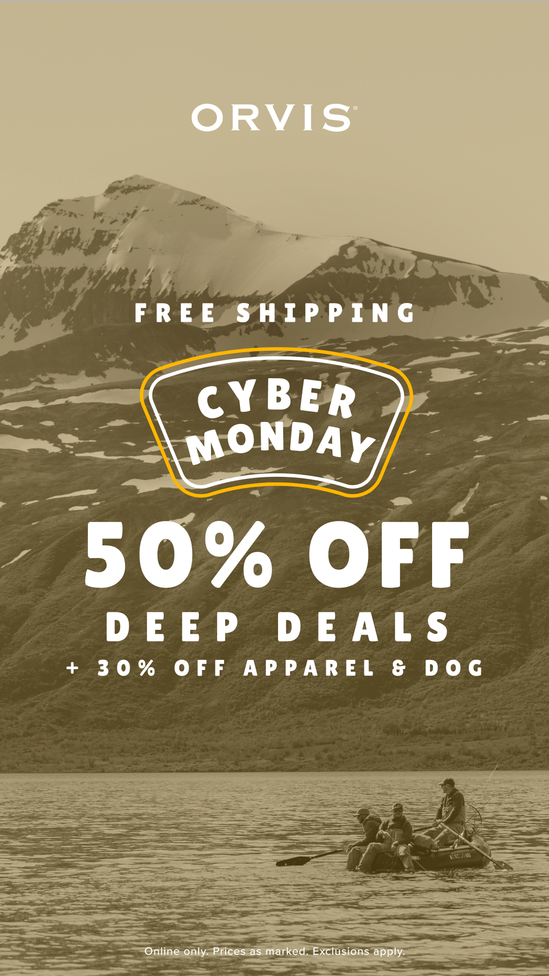 Sports Facebook ad example 33: Two words: Free. Shipping. 📦