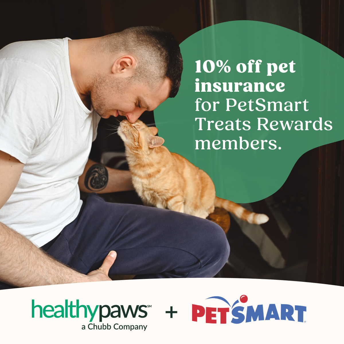 Pets Facebook ad example 50: Protect your pet today