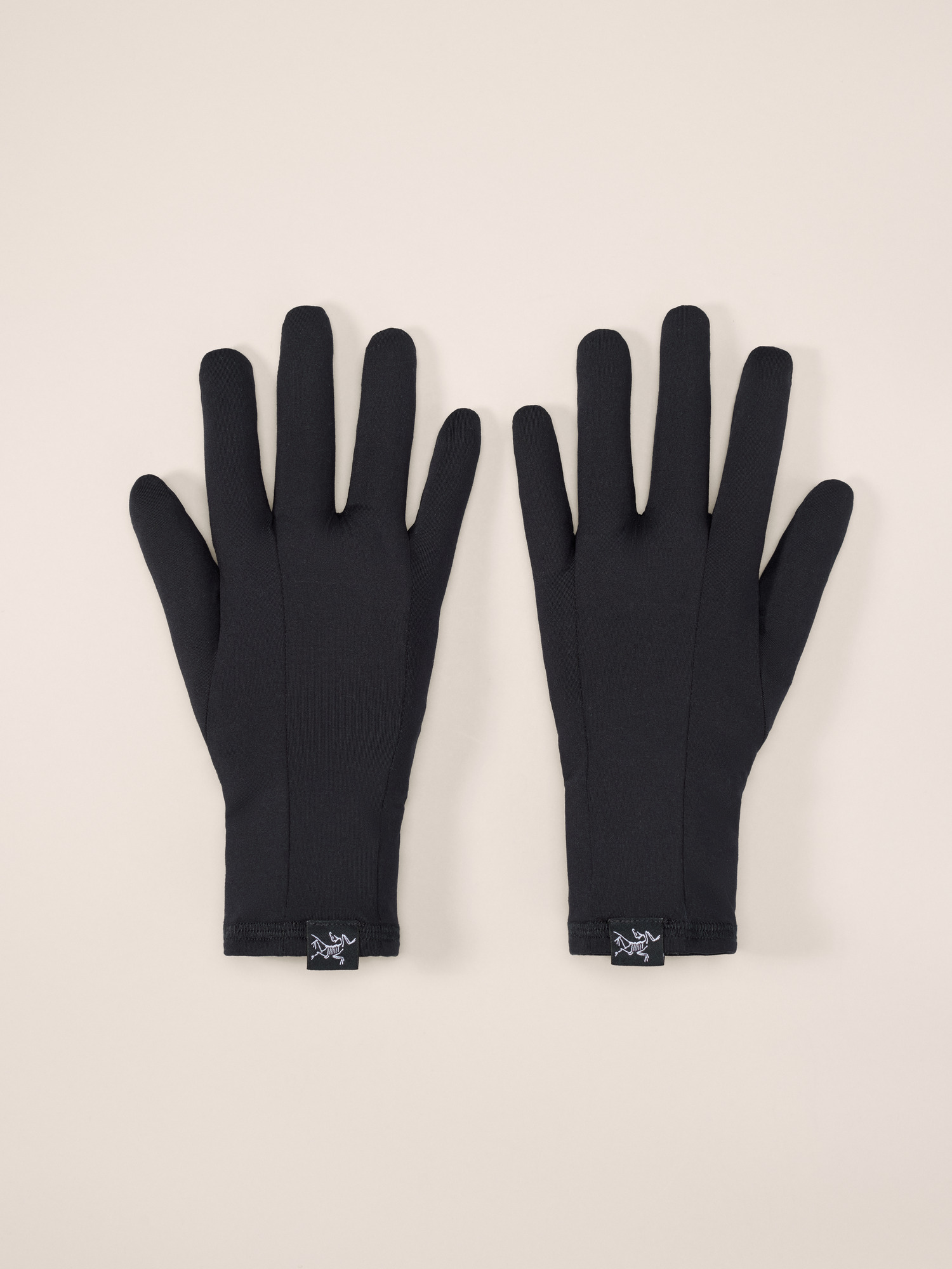 Sports Facebook ad example 30: Arc'teryx Rho Glove