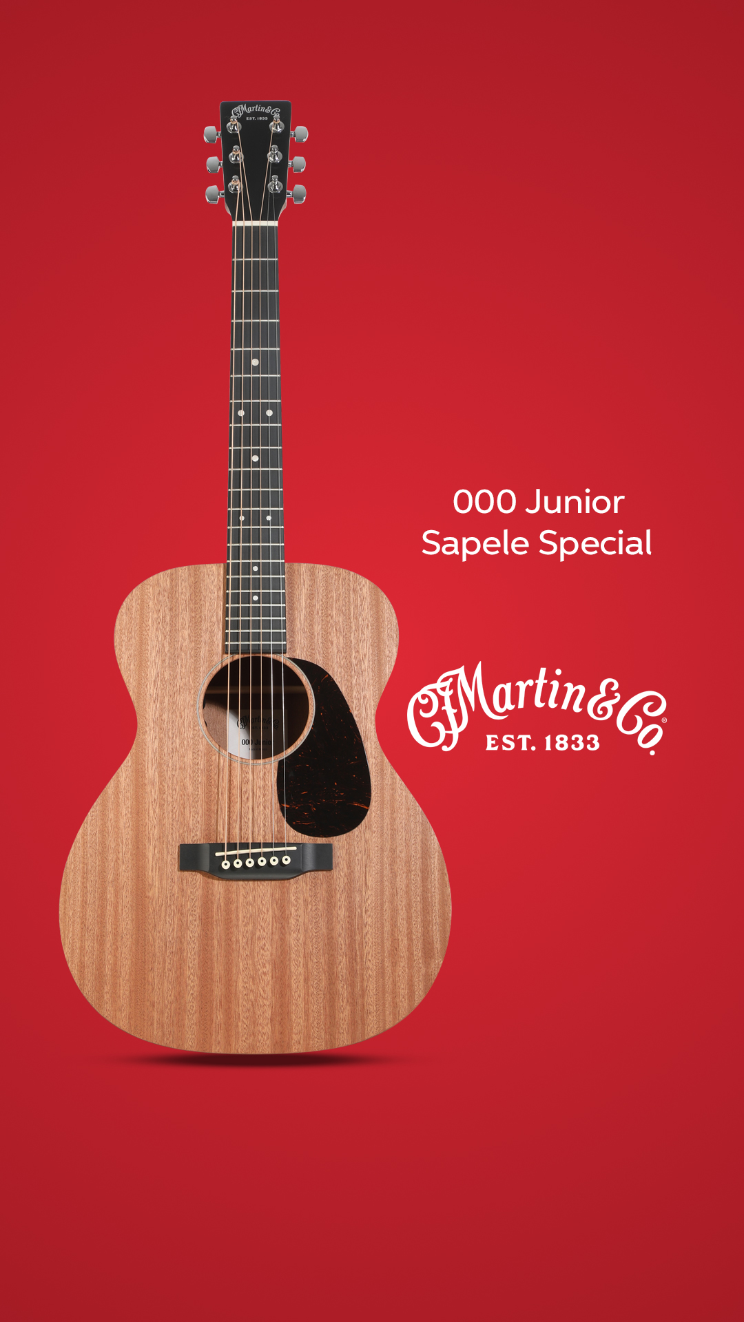 Entertainment Facebook ad example 45: Martin 000 Junior Sapele