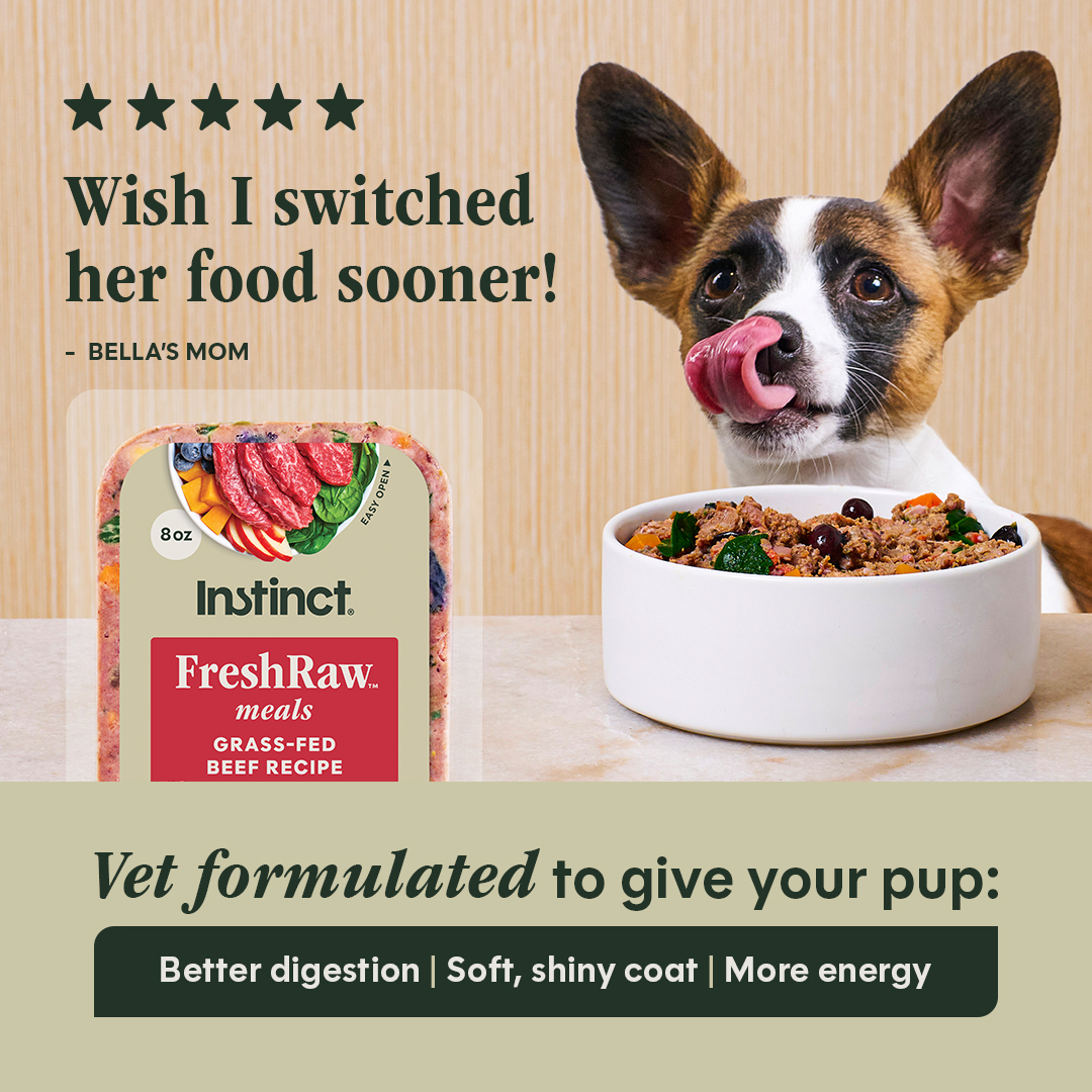 Pets Facebook ad example 25: Real ingredients you can see