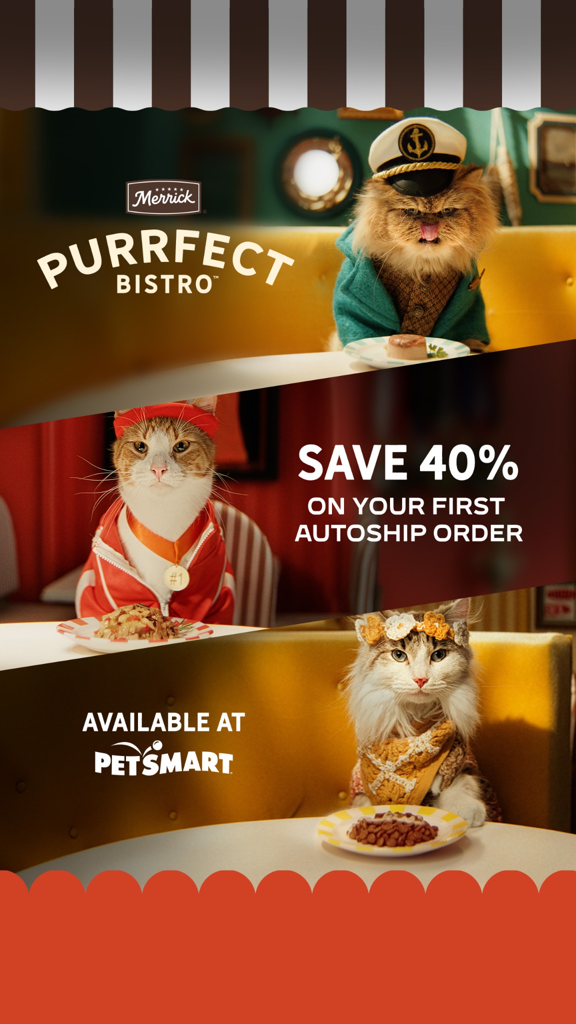 Pets Facebook ad example 13: Purrfection for every cat