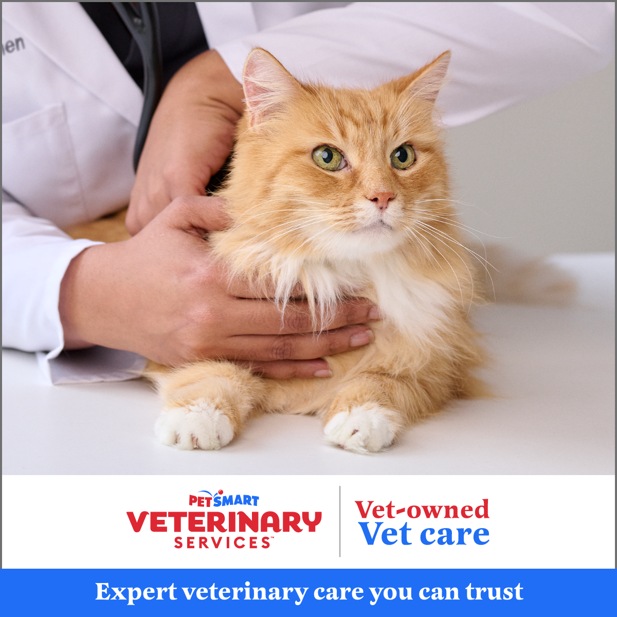 Pets Facebook ad example 12: Same-Day Vet Care