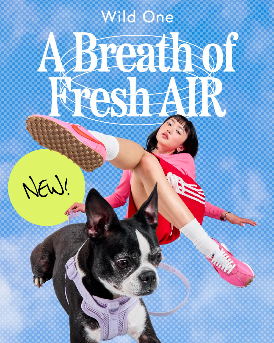 Pets Facebook ad example 31: Shop The Air Collection Now