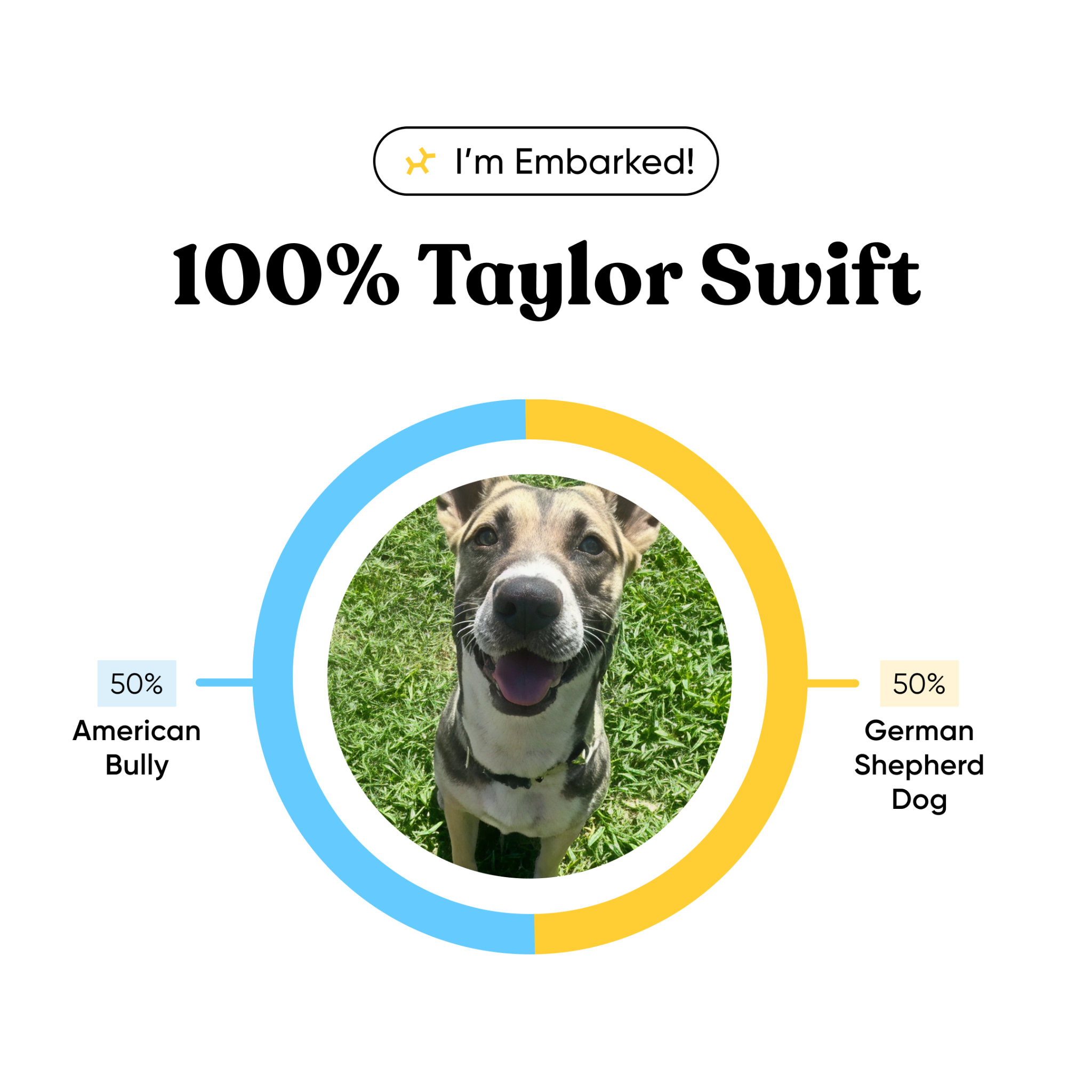 Pets Facebook ad example 42: Your dog needs answers