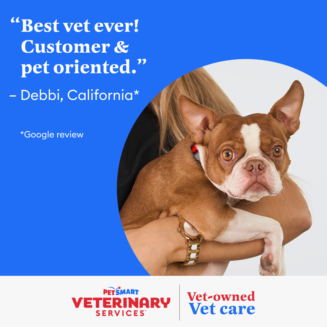 Pets Facebook ad example 14: Same-Day Vet Appointments at PetSmart