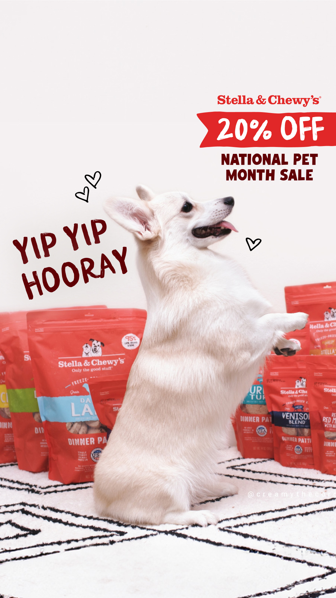 Pets Facebook ad example 21: Happy National Pet Month from Stella & Chewy’s!