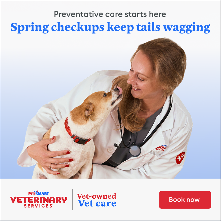 Pets Facebook ad example 19: Everything you need, all in one place.